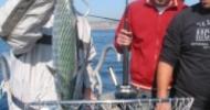 Marseille fête la pêche
